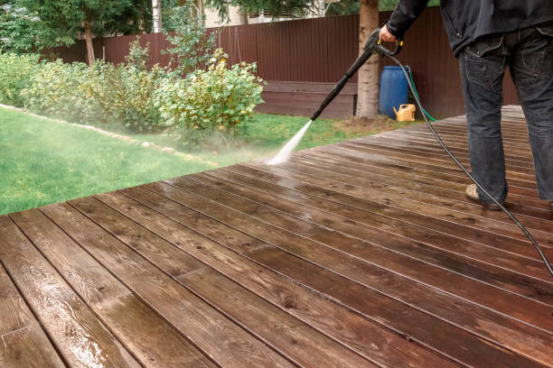 Best Sidewalk and Walkway Cleaning  in Lake Waccamaw, NC