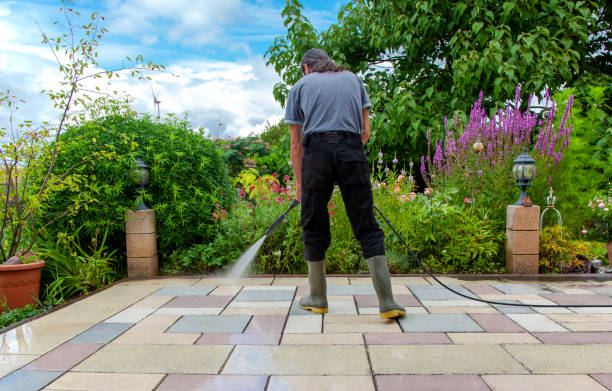 Best Driveway Pressure Washing  in Lake Waccamaw, NC